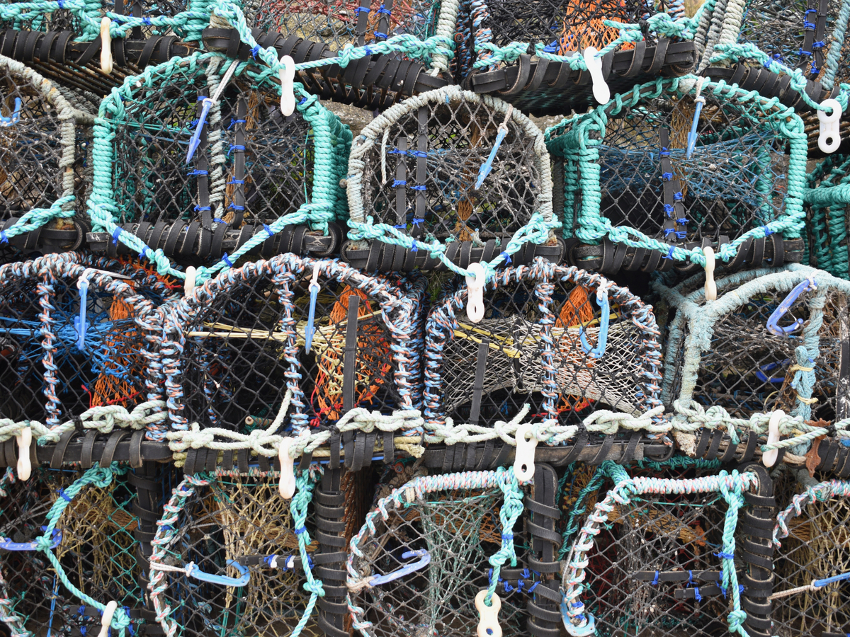 Scarborough Crab Net Wall - Jeff Cunningham
